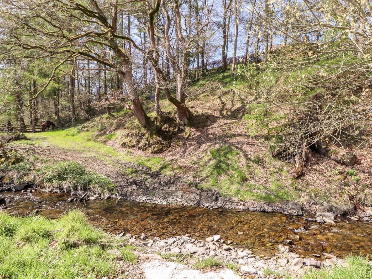 Nant Y Celyn Ruthin Exterior foto