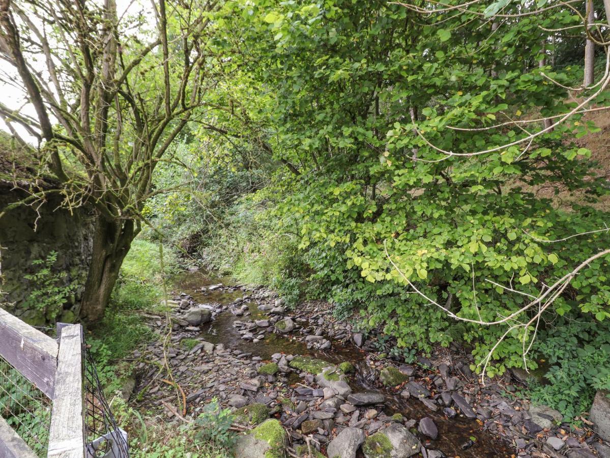 Nant Y Celyn Ruthin Exterior foto